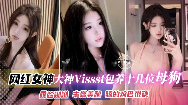 网红女神-大神VIssst包养十几位反差婊母狗 网红空姐 老师一网打尽，露脸啪啪 丰臀美腿 骚得鸡巴很硬